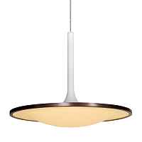 Подвесной светильник L'arte Luce Rowdy L21762.02 - цена и фото Подвесной светильник L'arte Luce Rowdy L21762.02 - цена и фото