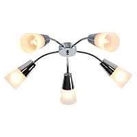 Потолочная люстра Escada Aquilegia 1100/5P Chrome - цена и фото Потолочная люстра Escada Aquilegia 1100/5P Chrome - цена и фото