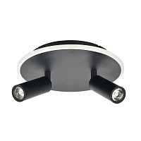 Потолочный светодиодный светильник Escada 20046SMA/02LED BK - цена и фото Потолочный светодиодный светильник Escada 20046SMA/02LED BK - цена и фото