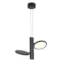 Подвесная светодиодная люстра Lussole Loft Aberdeen LSP-7084 - цена и фото Подвесная светодиодная люстра Lussole Loft Aberdeen LSP-7084 - цена и фото