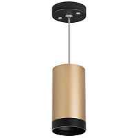 Lightstar Комплект со светильником Rullo RP440437 - цена и фото Lightstar Комплект со светильником Rullo RP440437 - цена и фото