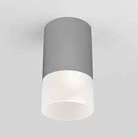 Уличный потолочный светильник Light LED 2106 IP54 35139/H серый - цена и фото