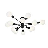 Sale SL419.402.12 Люстра потолочная Черный E27 12*60W - цена и фото