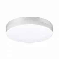 Светильник потолочный Novotech Opal 358885 - цена и фото Светильник потолочный Novotech Opal 358885 - цена и фото