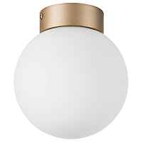 Плафон потолочный Lightstar Globo 812013 - цена и фото Плафон потолочный Lightstar Globo 812013 - цена и фото