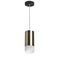Lightstar Комплект со светильником Rullo RP43131 - цена и фото Lightstar Комплект со светильником Rullo RP43131 - цена и фото