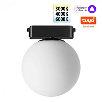 Трековый смарт-светильник Novotech для низковольтного шинопровода с двумя режимами работы IP20 LED 6W 24V 3000-6000K EASY 359478 - цена и фото