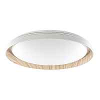 Потолочный светодиодный светильник Citilux Mega CL752452G - цена и фото Потолочный светодиодный светильник Citilux Mega CL752452G - цена и фото