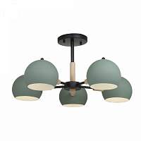 Потолочный светильник Freya Trisha FR5032CL-05B - цена и фото