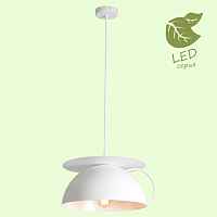 Подвесной светильник Lussole Tanaina GRLSP-9559 - цена и фото