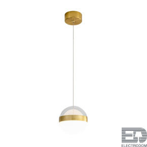 Подвесной светодиодный светильник Odeon Light RONI 5036/12L - цена и фото
