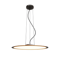 Подвесной светильник Maytoni MOD471PL-L57BK - цена и фото