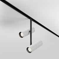 Трековый светильник Maytoni Elti Duo TR005-4-2X12W-DS-BW - цена и фото Трековый светильник Maytoni Elti Duo TR005-4-2X12W-DS-BW - цена и фото