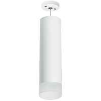Lightstar Комплект со светильником Rullo RP649681 - цена и фото Lightstar Комплект со светильником Rullo RP649681 - цена и фото