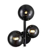 Настенное бра Molecola 11018/3W Black V000198 - цена и фото Настенное бра Molecola 11018/3W Black V000198 - цена и фото