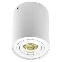 Накладной светильник Donolux DL18613 DL18613/01WW- R White - цена и фото