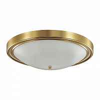 Светильник потолочный Lumion Nina 5259/4C - цена и фото Светильник потолочный Lumion Nina 5259/4C - цена и фото