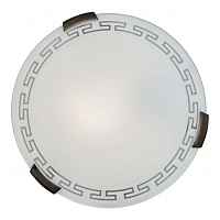 Настенно-потолочный светильник Sonex Greca 261 - цена и фото