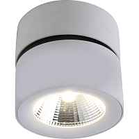 Спот Urchin 1295/03 PL-1 - цена и фото Спот Urchin 1295/03 PL-1 - цена и фото