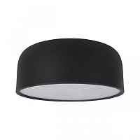 Потолочный светильник Axel 10201/350 Black - цена и фото