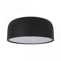 Потолочный светильник Axel 10201/350 Black - цена и фото Потолочный светильник Axel 10201/350 Black - цена и фото