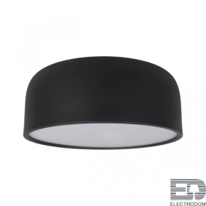 Потолочный светильник Axel 10201/350 Black - цена и фото
