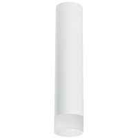 Lightstar Комплект со светильником Rullo R49631 - цена и фото Lightstar Комплект со светильником Rullo R49631 - цена и фото