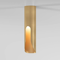 Потолочный светодиодный светильник Elektrostandard Apex 25113/LED a068290 - цена и фото