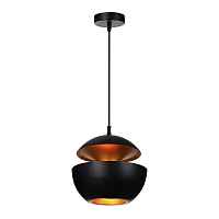 Подвесной светильник Loft IT Apple LOFT2212-B - цена и фото Подвесной светильник Loft IT Apple LOFT2212-B - цена и фото