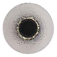 SL6142.411.01 Светильник настенный ST-Luce черный/дымчатый LED 1*7W 4000K - цена и фото
