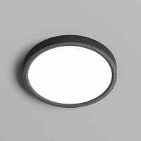 Накладной светильник Denkirs THIN DK6520-BK - цена и фото Накладной светильник Denkirs THIN DK6520-BK - цена и фото