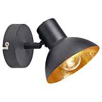 Спот Lussole LOFT LSP-9973 - цена и фото Спот Lussole LOFT LSP-9973 - цена и фото