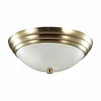 Светильник потолочный Lumion Kayla 5262/2C - цена и фото Светильник потолочный Lumion Kayla 5262/2C - цена и фото