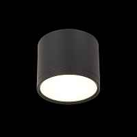 Светильник потолочный ST-Luce RENE ST113.442.09 - цена и фото Светильник потолочный ST-Luce RENE ST113.442.09 - цена и фото
