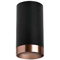 Lightstar Комплект со светильником Rullo R437430 - цена и фото Lightstar Комплект со светильником Rullo R437430 - цена и фото