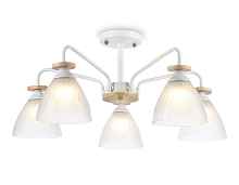 TR9567/5 WH/FR белый/белый матовый E27/5 max 40W D620*250 - цена и фото TR9567/5 WH/FR белый/белый матовый E27/5 max 40W D620*250 - цена и фото