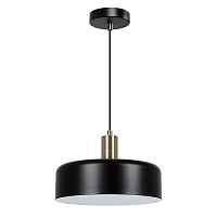 Подвесной светильник Arte Lamp Skat A7052SP-1BK - цена и фото Подвесной светильник Arte Lamp Skat A7052SP-1BK - цена и фото