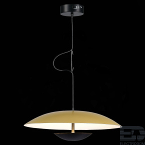 ST LUCE SL6502.203.01 Светильник подвесной ST-Luce Золотистый,Черный/Золотистый LED 1*35W 3000K - цена и фото
