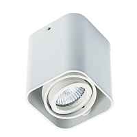 Потолочный светильник Megalight 5641 white - цена и фото