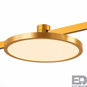ST818.246.12 Магнитный трековый светильник FARM Золотистый LED 1*10W 4000K 520Lm Ra80 120 IP20 D168x - цена и фото