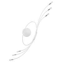 Бра Lightstar Ovale 784666 - цена и фото Бра Lightstar Ovale 784666 - цена и фото