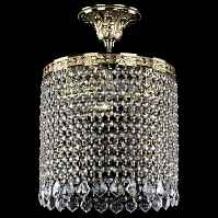 Подвесной светильник Bohemia Ivele Crystal 1920 19201/25IV G Leafs - цена и фото