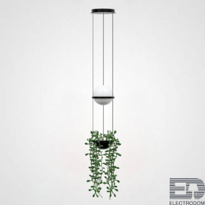 Подвесной светильник PALMA Wall lamp шар + вазон ImperiumLoft - цена и фото
