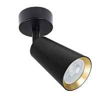 Спот Arte Lamp Cintura A2353PL-1BK - цена и фото Спот Arte Lamp Cintura A2353PL-1BK - цена и фото
