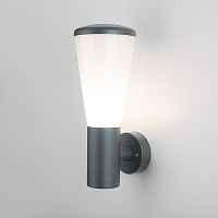 Настенный уличный светильник Elektrostandard 1416 TECHNO a049710 - цена и фото