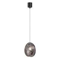 Подвесной светильник Odeon Light MUSSELS 5038/1 - цена и фото Подвесной светильник Odeon Light MUSSELS 5038/1 - цена и фото
