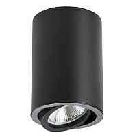 Светильник точечный накладной декоративный под заменяемые галогенные или LED лампы Lightstar Rullo 214407 - цена и фото