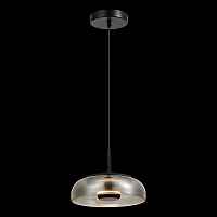 Подвес ST-Luce Черный/Дымчатый LED 1*7W 4000K SL6002.403.01 - цена и фото Подвес ST-Luce Черный/Дымчатый LED 1*7W 4000K SL6002.403.01 - цена и фото