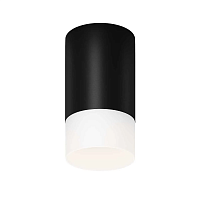 Потолочный светильник Maytoni Outdoor O499CL-L10B3K - цена и фото