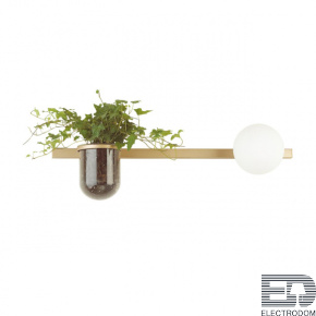 Настенный светильник Odeon Light Walli 4682/1WA - цена и фото